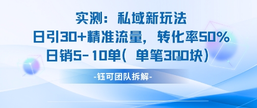 实测私域新玩法日引30加精准流量转化率50%日销5-10单每笔3张网赚库-项目库-轻创网-中创网-福缘网-冒泡网-资源之家-魔方项目库网赚库