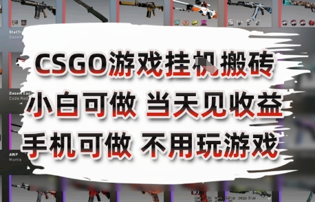 CSGO游戏挂G搬砖，小白纯手机即可操作，不用电脑打游戏，日入3张+，副业网创项目【揭秘】网赚库-项目库-轻创网-中创网-福缘网-冒泡网-资源之家-魔方项目库网赚库